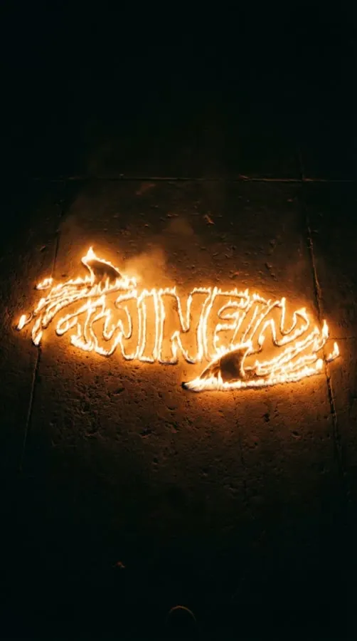 Still from TWINFIN